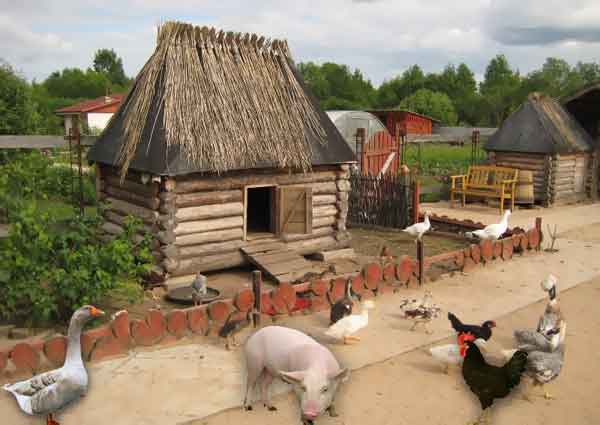 Липецкий губернатор предложил продолжить развитие животноводства в деревенских подворьях