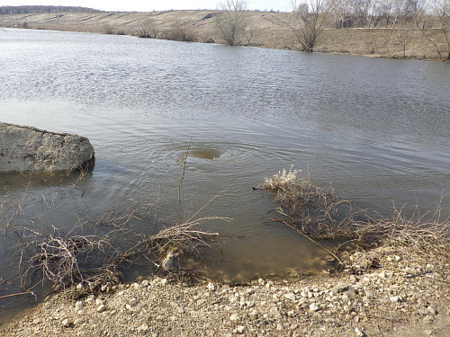 Росприроднадзор обнаружил в реке Дон Липецкой области значительные превышения марганца и меди