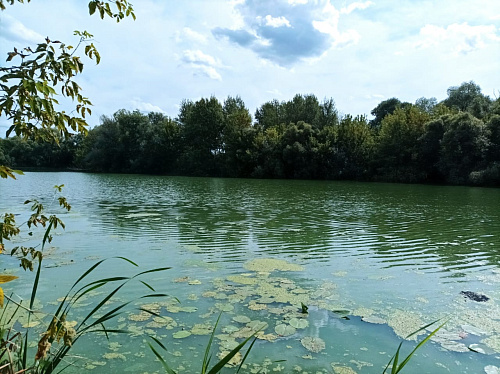 Росприроднадзор возьмёт под контроль состояние реки Усмань в Липецкой области