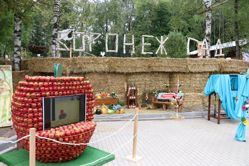 «Воронеж-Сад» собрал около 150 тыс. гостей фестиваля