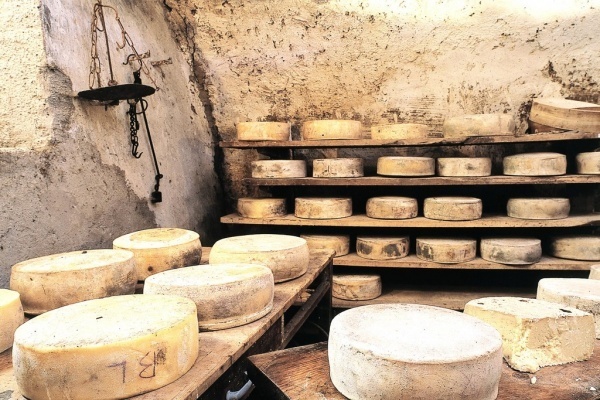 Липецкие предприниматели выдавали дешевый фальсифицированный сыр за дорогие сорта
