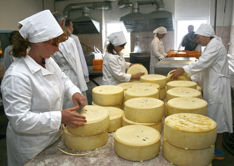 Производство российских сыров выросло на треть из-за эмбарго