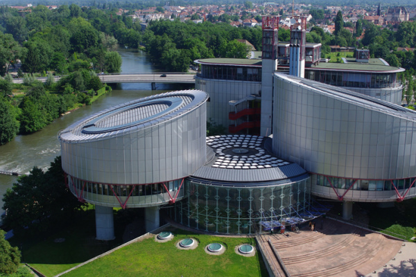 Суд в Страсбурге зарегистрировал жалобу на штраф из-за фейка о коронавирусе от липецкой зоозащитницы