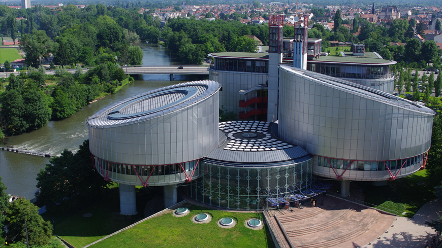 Суд в Страсбурге принял первую жалобу на штраф из-за фейка о коронавирусе от липецкой зоозащитницы