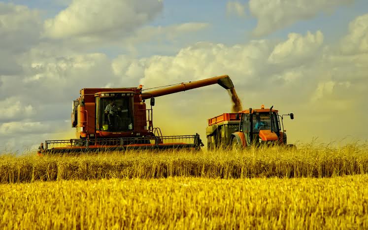 Тамбовские хлеборобы собрали первый миллион тонн зерна 