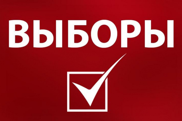 Липецкие коммунисты хотят аннулировать досрочное голосование на выборах в горсовет