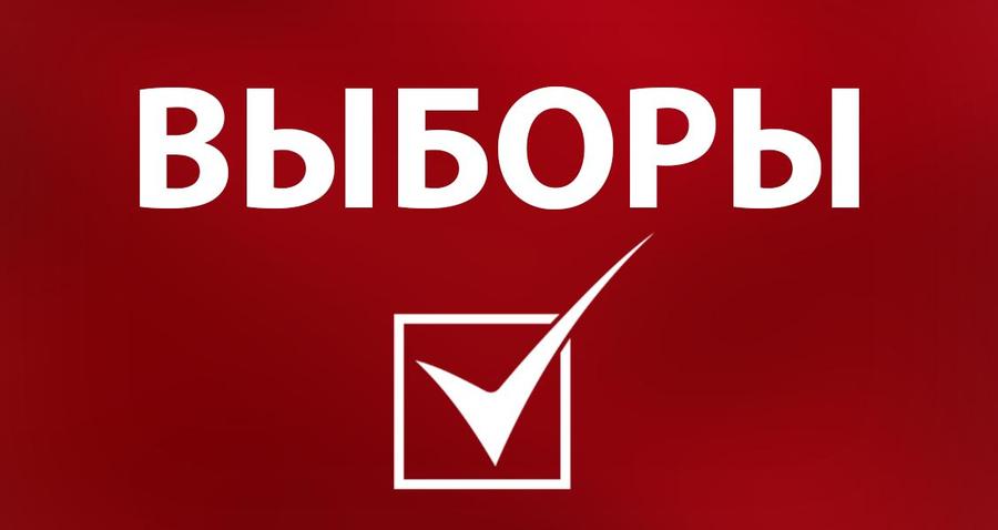 Информационная кампания к выборам главы Липецкой области обойдется в миллион рублей