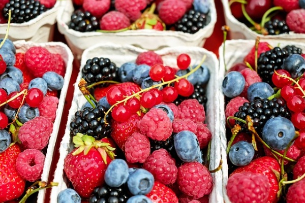 Липецкая «Фрагария» начала отгрузку первых замороженных ягод
