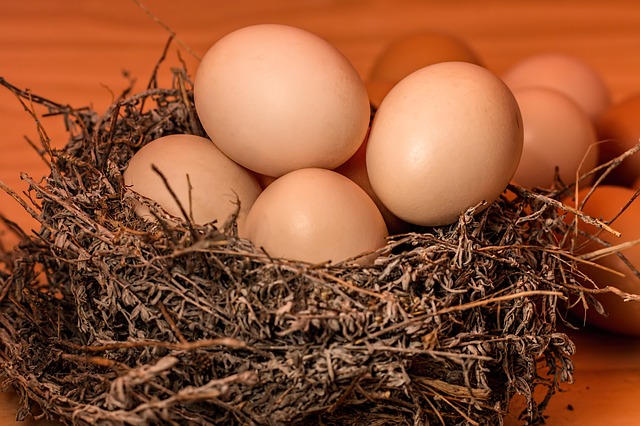 Группа «Черкизово» в Липецкой области к концу года увеличит производство яиц за счет увеличения мощностей