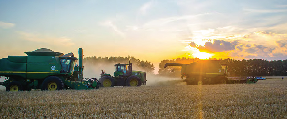 Шведская компания Black Earth Farming собирается избавиться от липецких земель