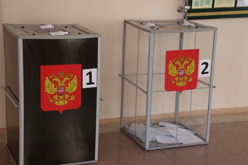 Довыборы в Госдуму в Липецкой области будут идти три дня