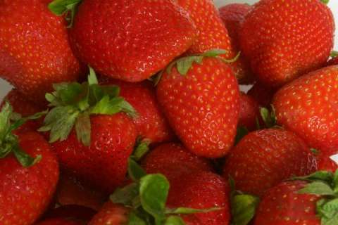 Снабжающая Danone замороженными ягодами липецкая «Фрагария» привлечет кредиты МСП Банка на 414 млн рублей