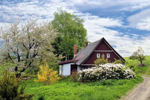 Повышение арендной ставки сделало загородное жильё в Липецкой области самым дорогим в Черноземье
