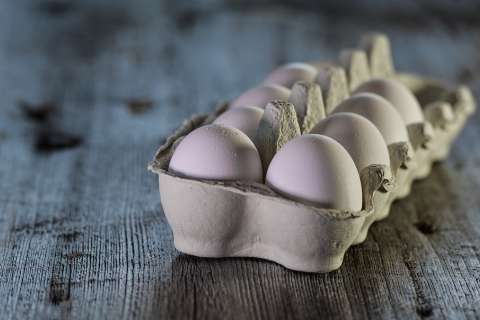 «Липецкптица» увеличит производство яиц до 1,5 млн штук в сутки
