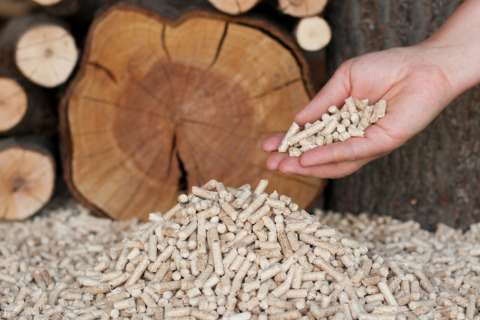 В Липецкой области до конца года планируется запустить завод по производству древесных гранул