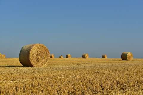 Кадастровая оценка земель сельхозназначения пройдет в Липецкой области в 2019 году