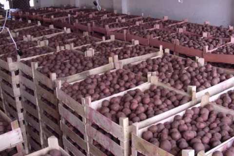 Black Earth Farming переоценила ущерб от пожара на складе картофеля в Липецкой области с 7 до 2,5 млн долларов