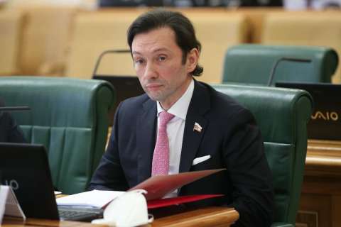 Липецкий сенатор Максим Кавджарадзе не сумел увеличить доходы и разжиться имуществом