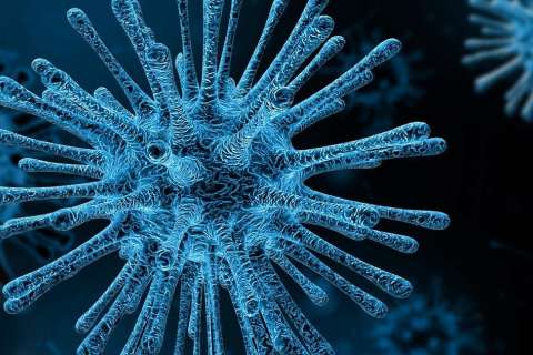 Федералы помогут липецким лабораториям закупиться оборудованием для тестирования на коронавирус