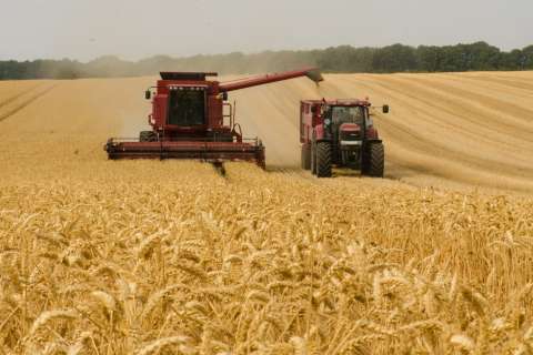 СХП «Мокрое» признало, что неправомерно пользовалось полями липецких фермеров