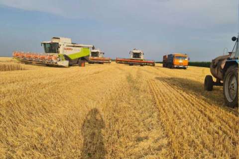 Лебедянские фермеры намерены отсудить у агрохолдинга материальный ущерб в размере порядка 60 млн рублей