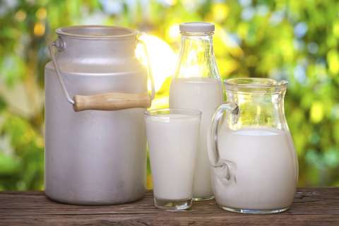 Липецкая компания «Ключи жизни» отложила строительство молочного комплекса из-за отсутствия средств