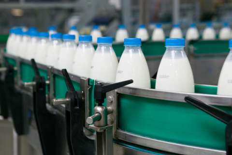 Под Липецком откроется новый молочный завод
