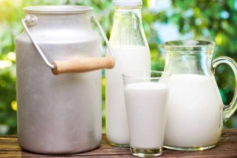 Липецкая область остается среди неудачников рейтинга производителей молока