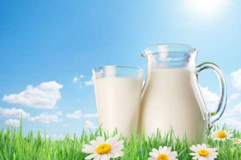 Липецкая «Агрофирма «ТРИО» пробилась в ТОП-30 производителей молока России по рентабельности