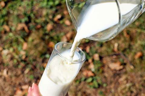 Липецкий «КолоСС» выводит новую молочную ферму на проектную мощность 16 тыс. тонн молока в год