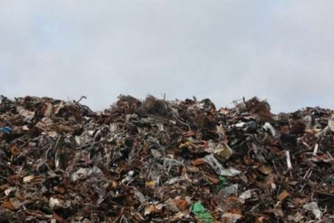 В Липецкой области документация на строительство мусорного полигона разработана с грубейшими нарушениями?