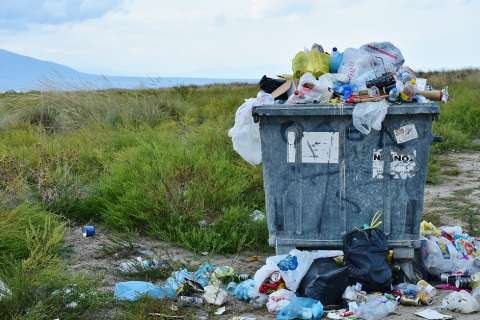 Жители Ельца возмутились работой регионального оператора «Тэко Сервис» из Тамбова, отвечающего за вывоз мусора