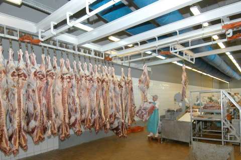 В Липецкой области обанкротившийся мясокомбинат «Елецкий» вновь ищет себе покупателей посредством торгов