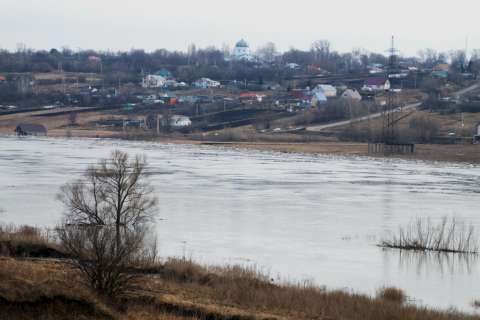 На расчистку реки Воронеж будет потрачено 137 млн. рублей