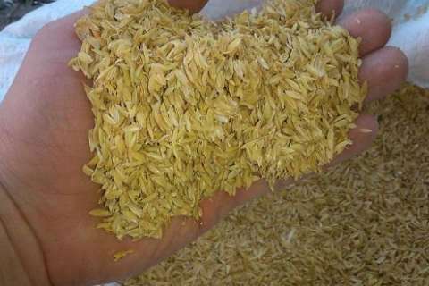 В Липецкой области запустили производство по сжиганию рисовой шелухи для металлургической промышленности