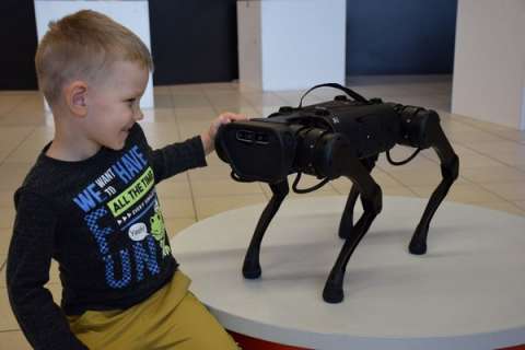 В Липецк едут знаменитая робособака из YouTube-роликов, самый гибкий робот в мире и «летающие пиксели»