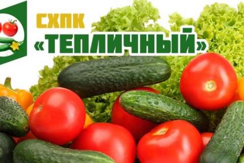 Липецкому производителю огурцов и томатов придется отдать 17,2 млн рублей долга за газ