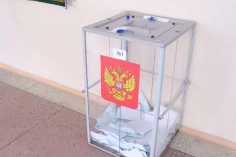 В Липецкой области поставили под сомнение эффективность дистанционного электронного голосования