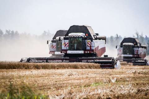 В Липецкой области зарплата в сельском хозяйстве за пять лет выросла на 168%