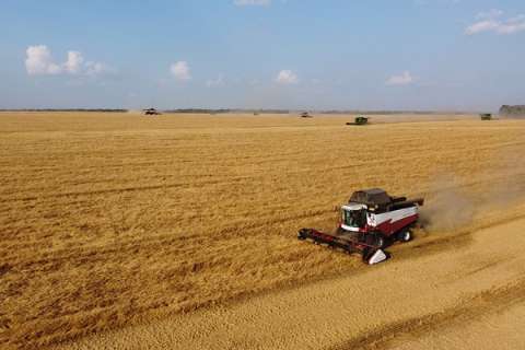 Аграрии Липецкой области намолотили первый в этом году миллион тонн зерна