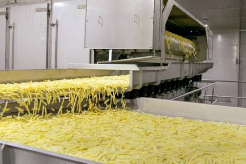Липецкий производитель картофеля фри планирует вдвое увеличить производственные мощности