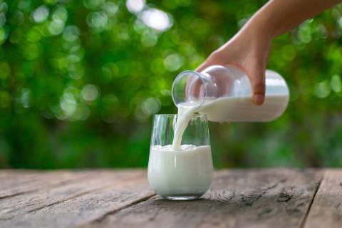В Липецкой области на 20% выросло производство молока