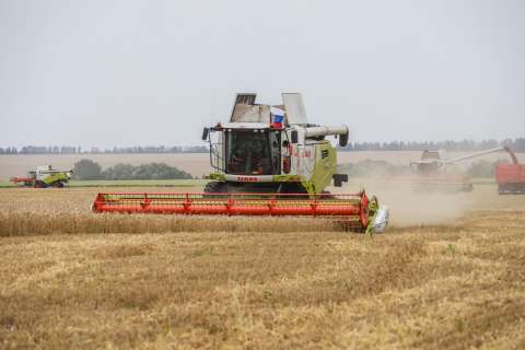Аграрии Липецкой области намолотили 3 млн тонн зерновых и зернобобовых культур 