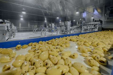 Липецкий производитель картофеля фри построил производственные корпуса второй линии завода