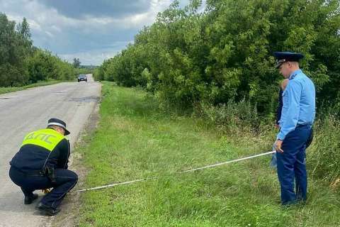 После вмешательства прокуратуры на дороге в Добровском районе проведут необходимые работы