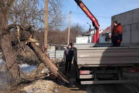 В Липецке на снос и обрезку деревьев выделили 53 млн рублей