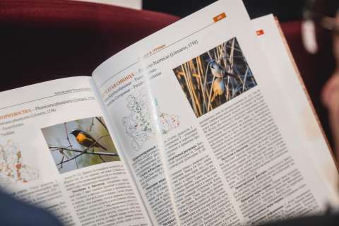 Липецкие власти ищут подрядчика для работ над Красной книгой региона за 1 млн рублей