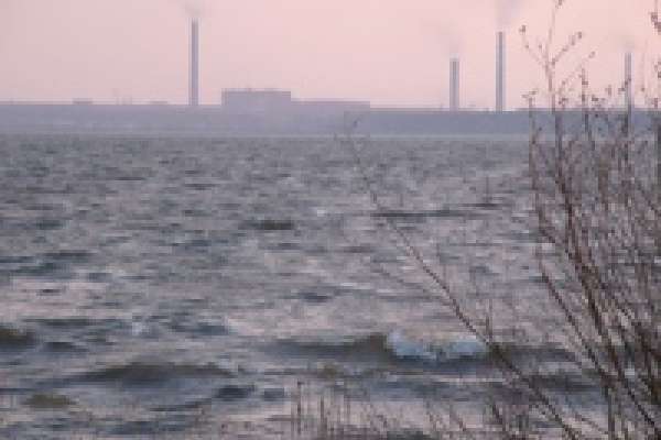 Матырское водохранилище сильно обмелело в период нереста 