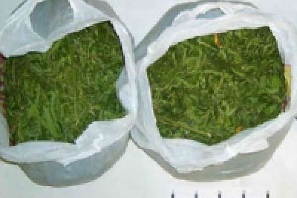 У жителя Липецка нашли 4 кг марихуаны 