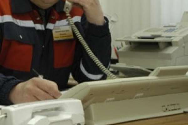 Упавшие деревья парализовали движение Упавшие деревья парализовали движение